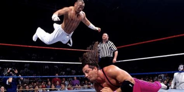 Bret Hart vs. Hakushi