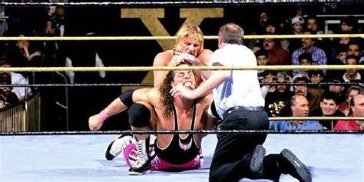 Bret Hart vs Owen Hart 