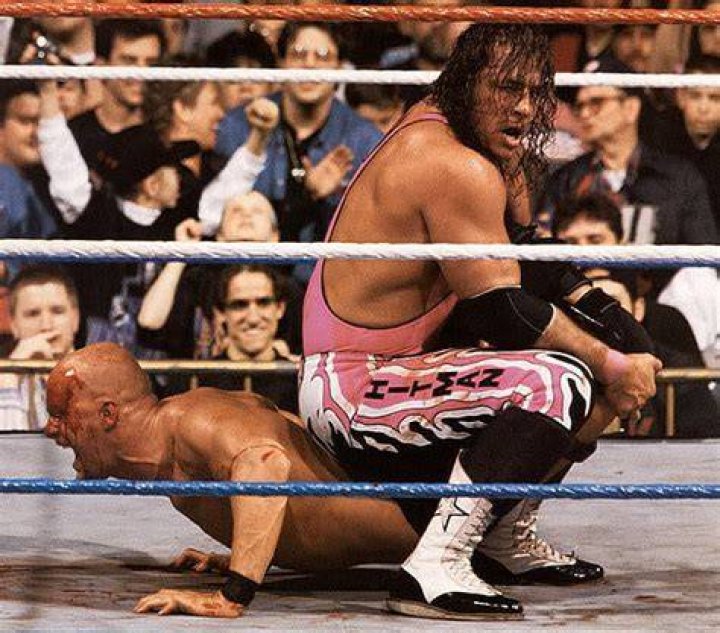 Bret Hart Vs Steve Austin