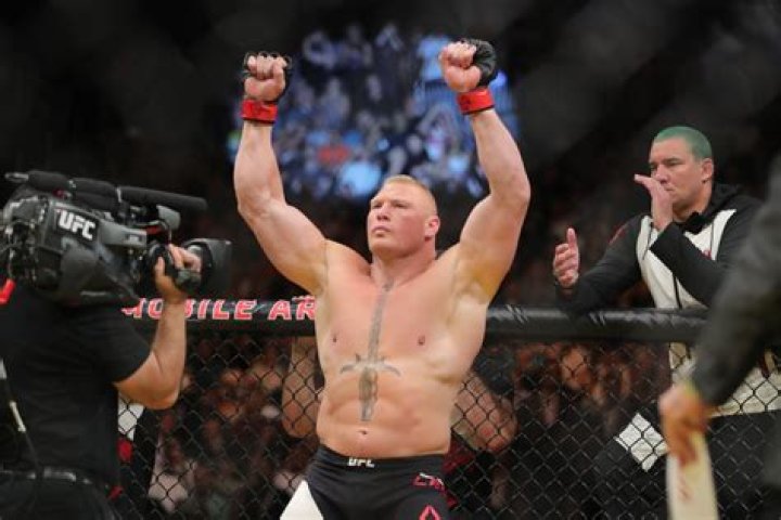 Brock Lesnar fighting in UFC.
