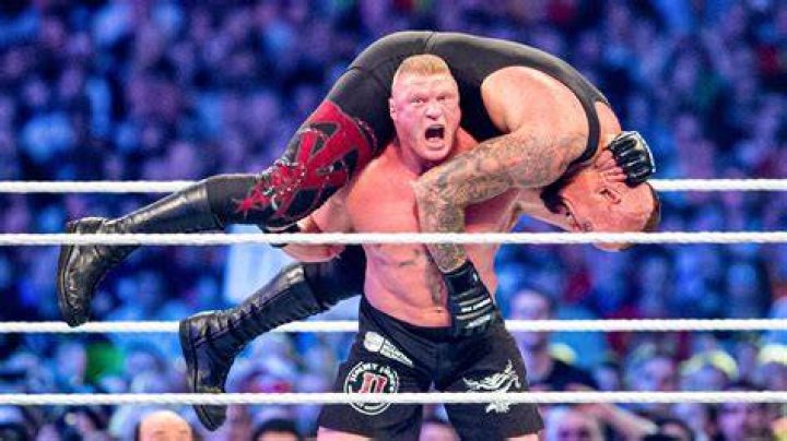 Brock Lesnar v Undertaker WrestleMania 30 Cropped