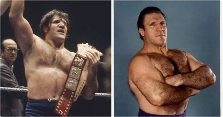 Bruno Sammartino WWF Champion