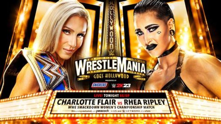 Charlotte Flair vs. Paige