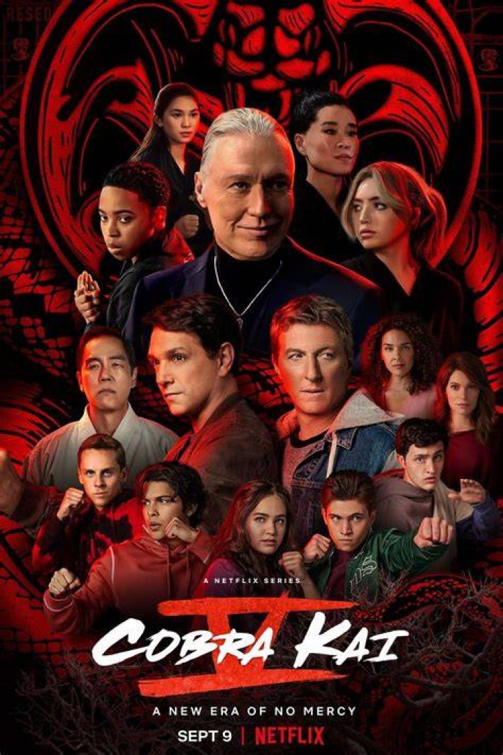 Cobra Kai season 4 release date, cast, trailer, and everything else we