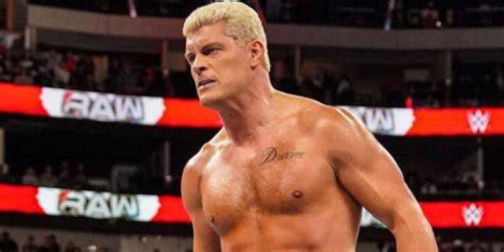 Cody Rhodes Agrees To Wild Request From Fan At Live Event