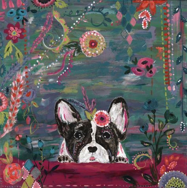 Collection of works by jackerman