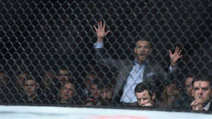 Conor McGregor Jumps Cage At Bellator Fight, Slaps Ref