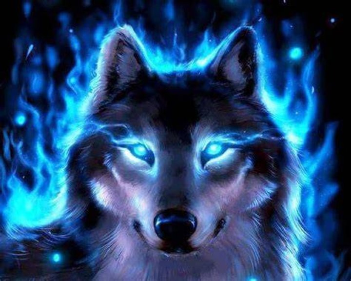 Cool Wolf Wallpapers Wallpaper Cave
