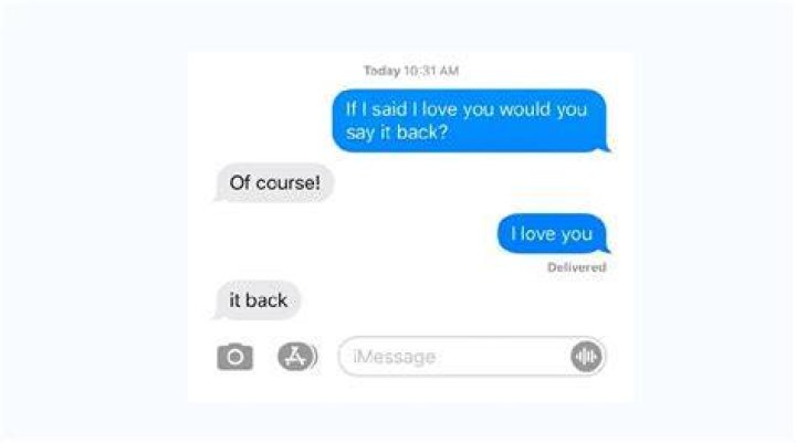 Crazy texts, funny XD Weird text, Humor, Budgies