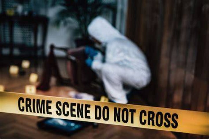 Crime Scene Photos Didi: An In-Depth Exploration