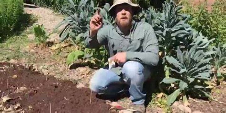 Daniel Bryan gardening Cropped