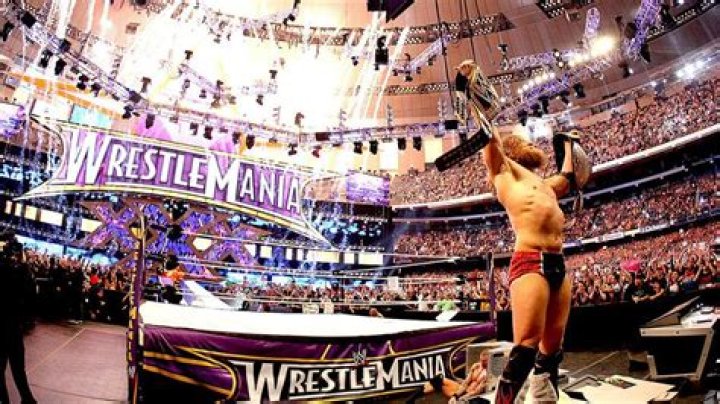 Daniel Bryan WrestleMania 30