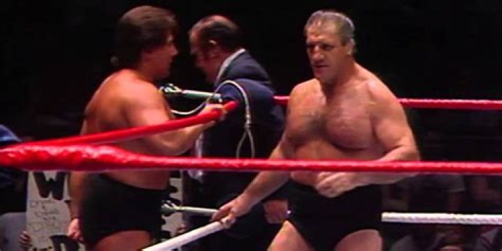 David And Bruno Sammartino Cropped
