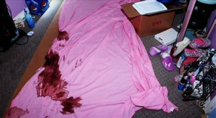 Dee Dee Blanchard Crime Scene Unveiling the Unsettling Details