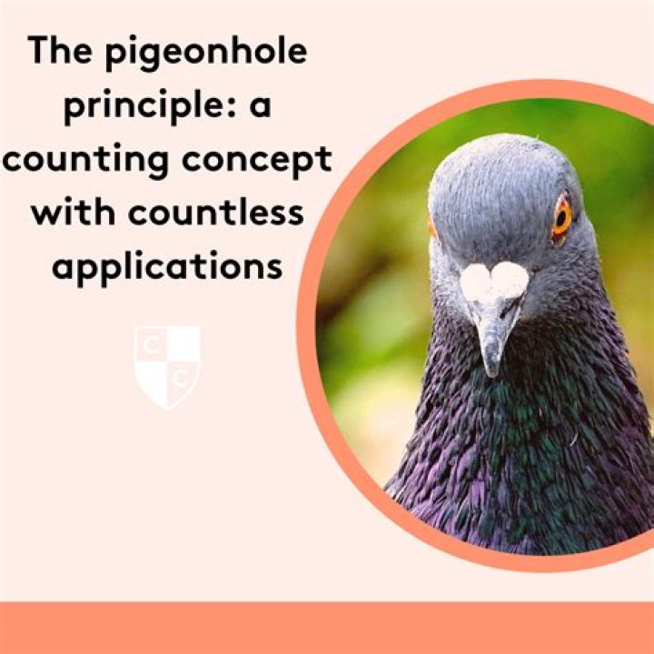 Define Pigeonhole: Understanding The Concept And Its Applications