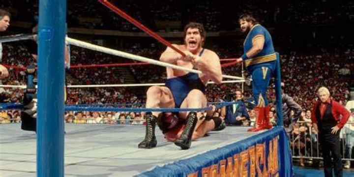 Demolition Vs Andre The Giant 