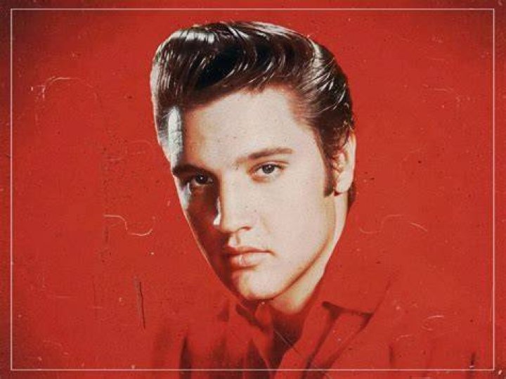 Did Elvis Presley have a twin brother? The Irish Sun