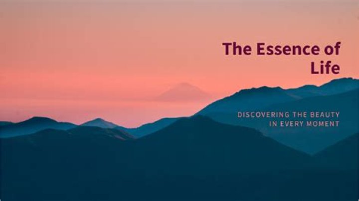 Discovering The Essence Of The Jasmine Crockett Family