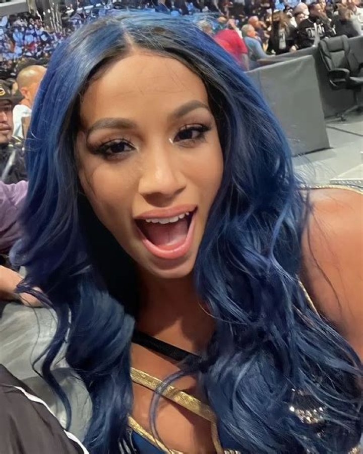 “Do Not Give the Slightest Sh*t”: True Extent of Sasha Banks’ Popularity Outside
of WWE Revealed by Fan After She Declares Japan ‘Her Country’