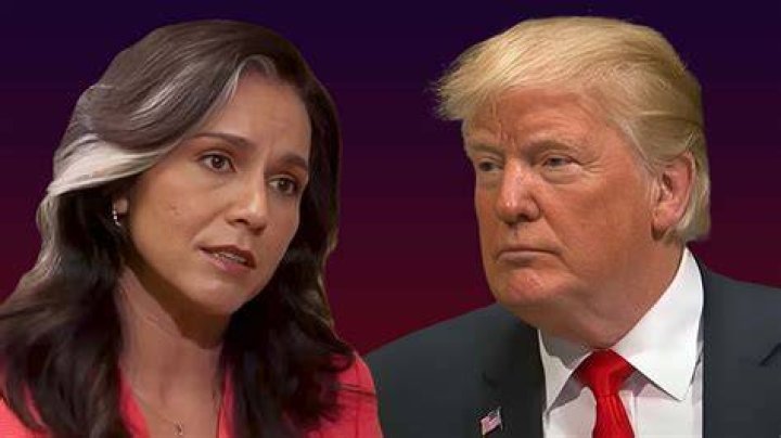 Donald Trump Shortlist Tulsi Gabbard's VP Chances Soar Newsweek