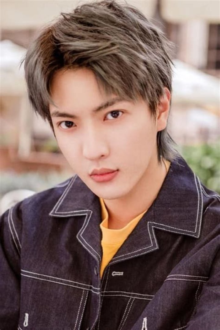 Dong Yan Lei Fan Casting
