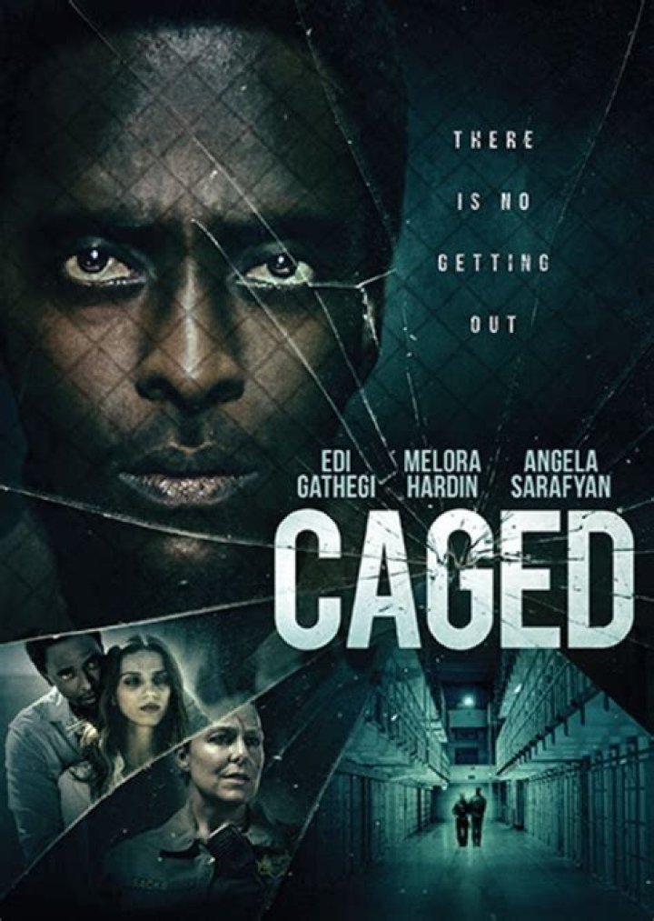 Dr Harlow Reid Fan Casting for Caged(2021) | myCast