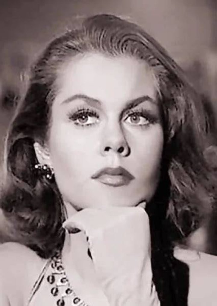 Elizabeth Montgomery Fan Casting
