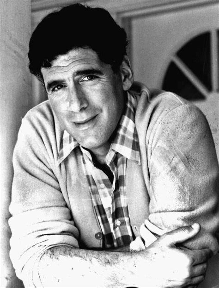 Elliott Gould as Emmett Crawford in How to Get Away with Murder (1984-1990)