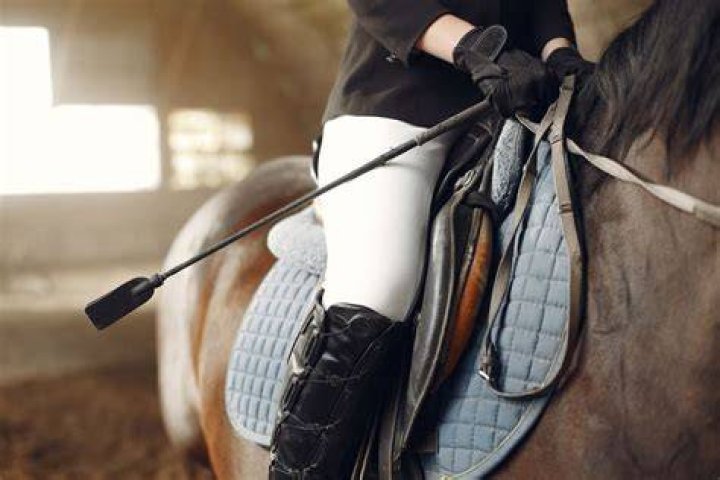 ‘End of an Era’: With Career Earnings Over $2,500,000 Lifelong Equestrian and
Iconic Breeder Passes Away at Advanced Age