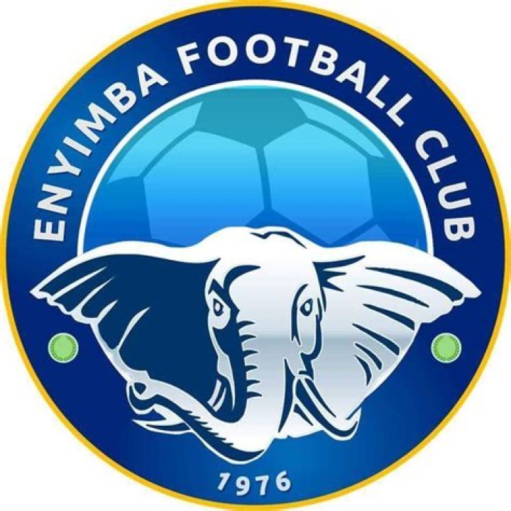 Enyimba defeat Wikki Tourists 2 nill as Hero Lager beer spurs team