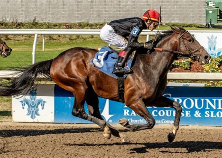 Equestrian Stakes Winning Trainer Hit with $100,000 Fine After 12-Year
Suspension for Rule Violations