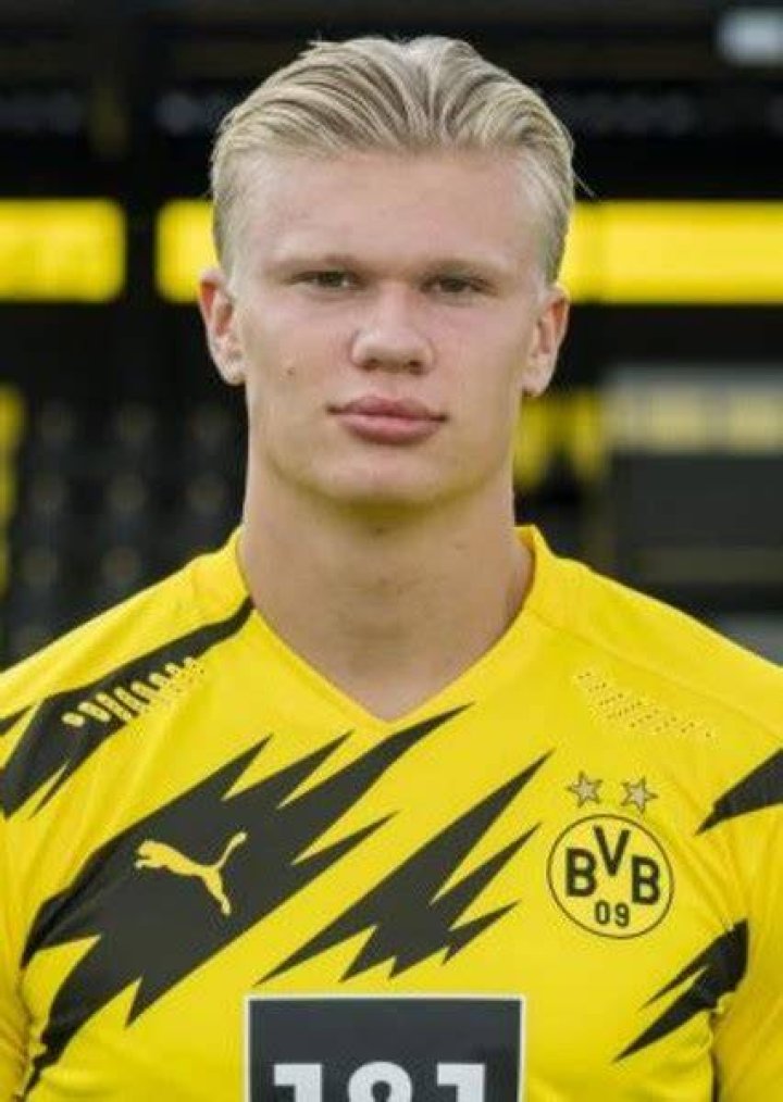Erling Haaland Fan Casting