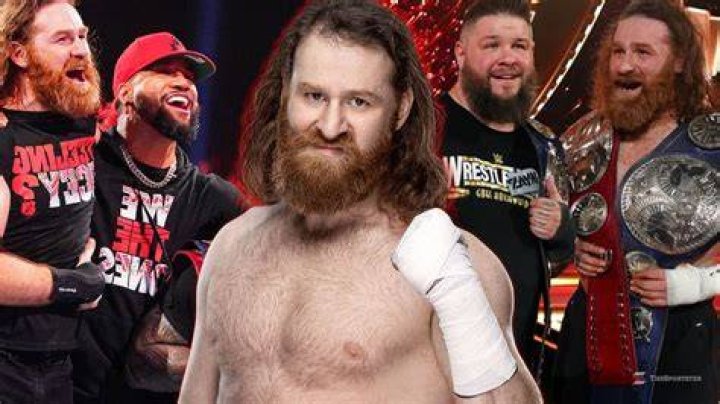 Every Version Of Sami Zayn, Ranked From Worst To Best
