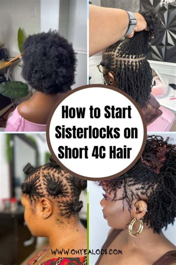 Everything You Need To Know About Loc Sponge: A Comprehensive Guide