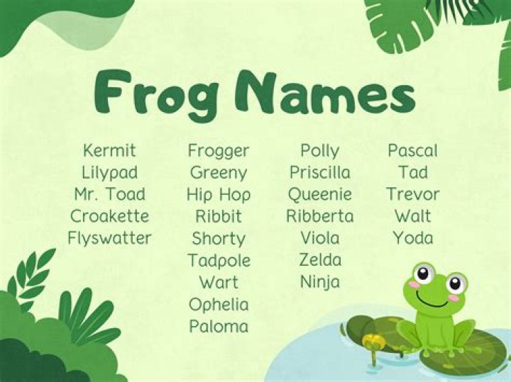 Exploring The Fascinating World Of Names Frog: A Comprehensive Guide