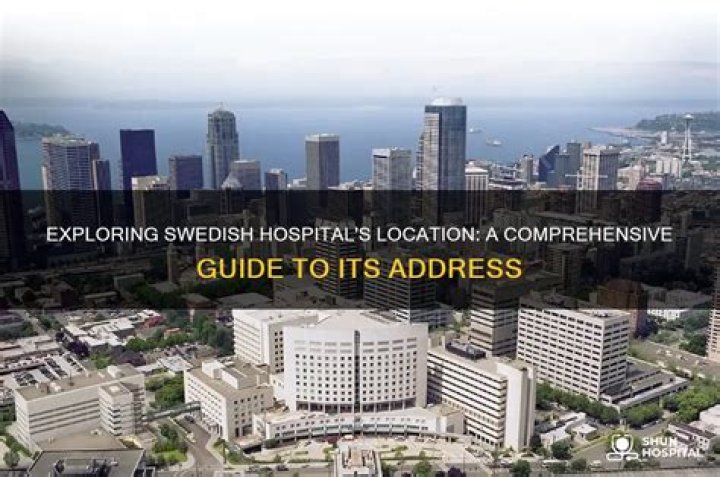 Exploring The Life And Career Of Swedish Bella: A Comprehensive Guide