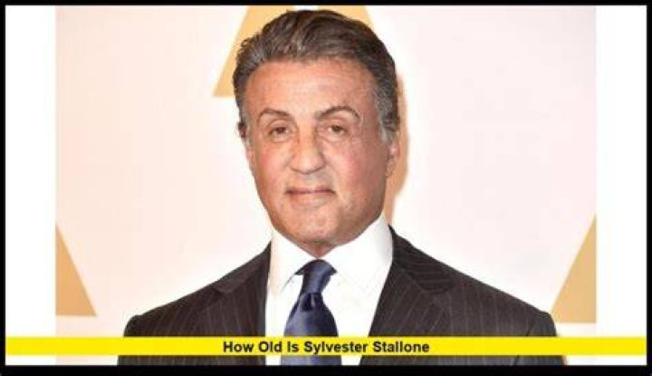 Exploring The Life And Career Of Sylvester Stallone: A Legendary Actor