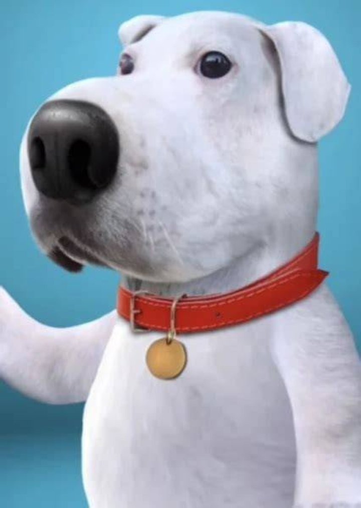 Fan Casting Adrien Brody as Brian Griffin in Family Guy (Live Action Remake) on myCast