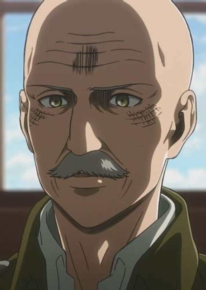 Fan Casting Bryan Cranston as Dot Pixis in Attack on Titan on myCast