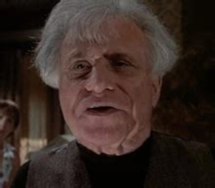 Fan Casting Christoph Waltz as Uncle Reuben Klopek in The 'Burbs on myCast