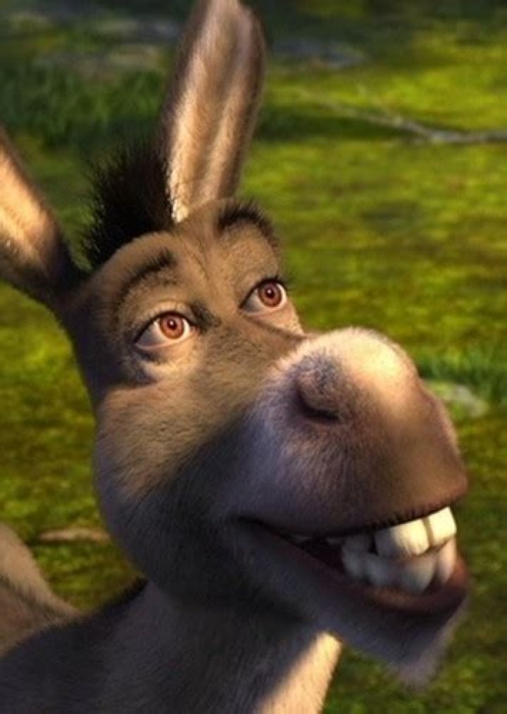 Fan Casting Craig Robinson as Voice of Donkey in Shrek (Live Action) on myCast