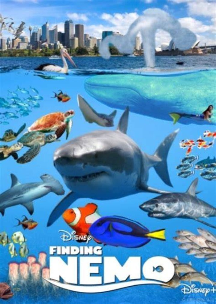 Fan Casting Giant Squid (Finding Nemo) as Sea in My Disney cinematic universe on myCast