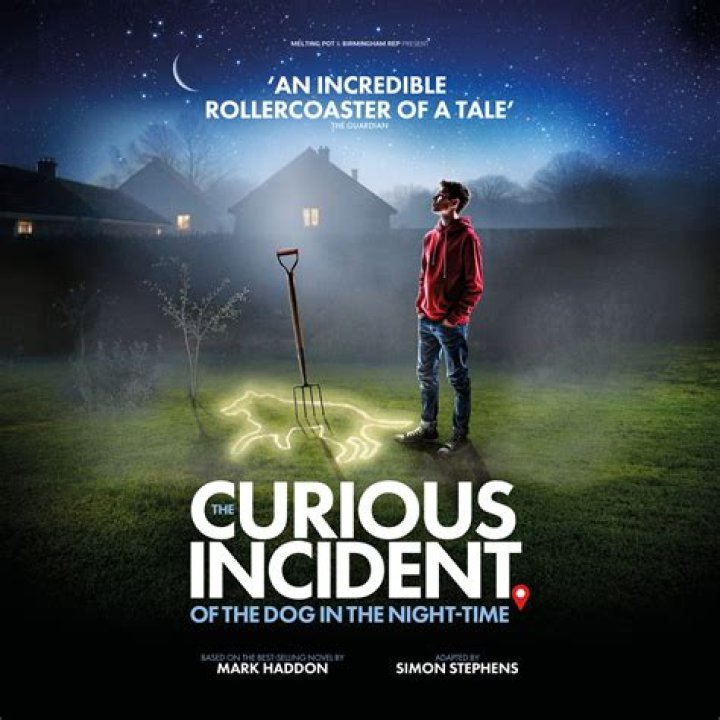 Fan Casting Ingrid Michaelson as Siobhan in The Curious Incident of the Dog in the Night-Time on myCast