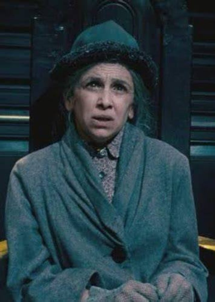 Fan Casting Jacki Weaver as Arabella Figg in Harry Potter HBO Max series on myCast