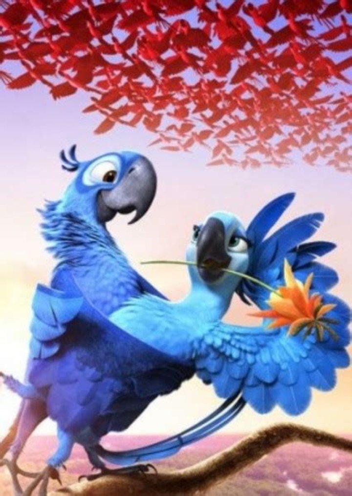 Fan Casting Jamie Foxx as Nico in Rio 3: Tropical Vacation on myCast