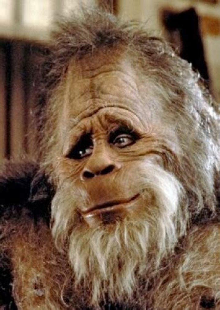 Fan Casting Jenna Fischer as Nancy Henderson in Harry and the Hendersons (2022) on myCast