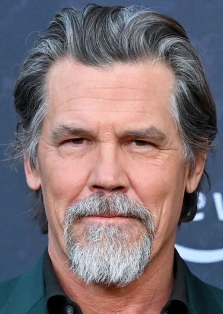 Fan Casting Josh Brolin as Ganondorf in The Legend of Zelda on myCast