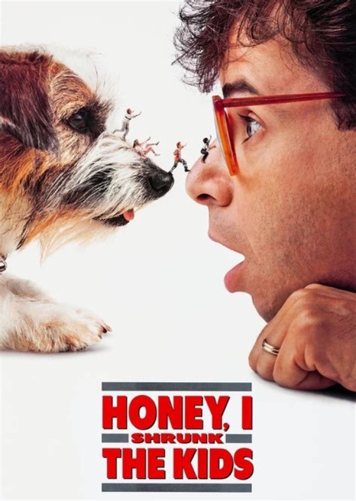 Fan Casting Josh Gad as Wayne Szalinski in Honey , I Shrunk The Kids (remake) on myCast