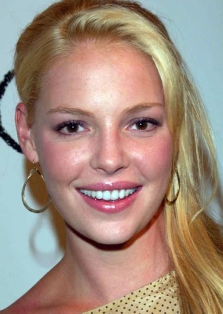 Fan Casting Katherine Heigl as Ginny Baker in Sixteen Candles (2004) on myCast