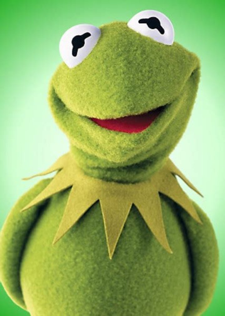 Fan Casting Kermit the Frog as Green in Characters By Color, Sort With Me! on myCast